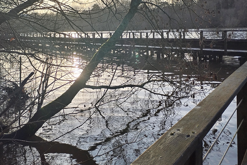 Inspiration Axelle Design